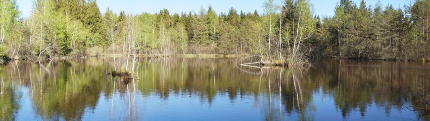 Mega-Panorama Willinger Filz