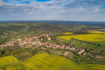 yellow canola field with cloudy sky