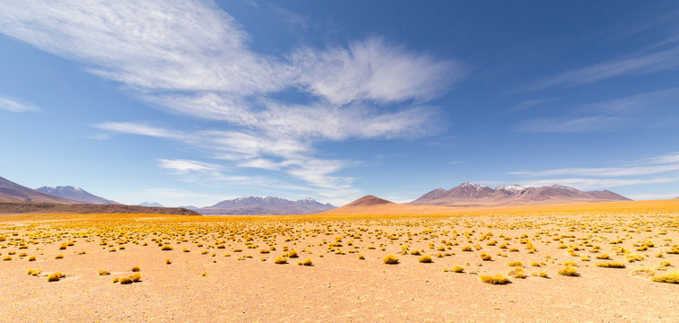 Panoramic view of  Siloli Desert, in Bolivia