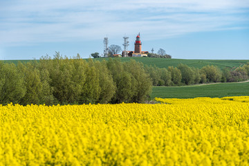Leuchtturm Bastorf im Raps