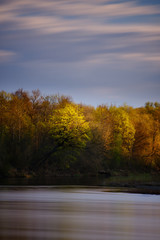 Morning sunlight on trees by a river long exposure beautiful spring time