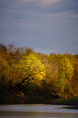 Morning sunlight on trees by a river long exposure beautiful spring time