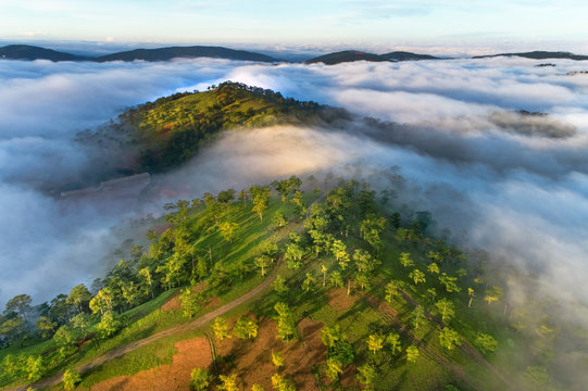 Aerial view of pine forest near Highway 27c or Provincial Route 723 from Da Lat city to Nha Trang city at Long Lanh pass, Lam Dong province, Vietnam