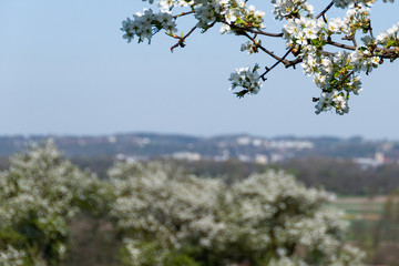 Mostviertel Landschaft