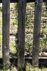 The texture of the old fence.
