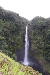 Hawaiian Waterfall