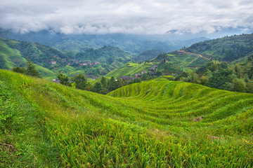 Fototapeta na wymiar View of rice terraces in South China