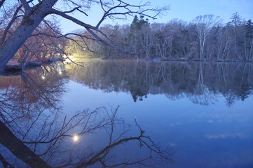 薄明の湖畔。湖面に映る湖畔の森。屈斜路湖、北海道、日本。