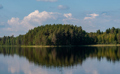 Fototapeta na wymiar forest reflected in the water on a sunny summer day