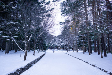 Hokkaido Shrine - Heritage Shrine built in 1869, surrounded by mountain.