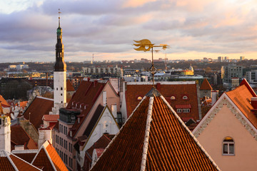 Naklejka premium Roofs of Tallinn in the morning, with pink clouds