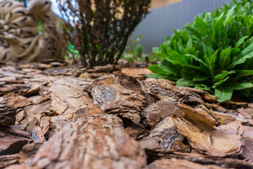 Tree bark for decoration and mulching in landscape design. Tree bark texture background closeup.