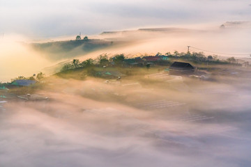Aerial view of pine forest near Highway 27c or Provincial Route 723 from Da Lat city to Nha Trang city at Long Lanh pass, Lam Dong province, Vietnam
