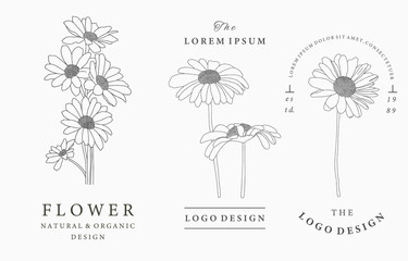 Black flower logo collection with sunflower,leaves,geometric.Vector illustration for icon,logo,sticker,printable and tattoo