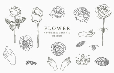 Black flower logo collection with leaves,geometric.Vector illustration for icon,logo,sticker,printable and tattoo