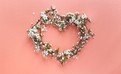 on a coral background, a heart symbol made from flowering branches of cherry with white flowers