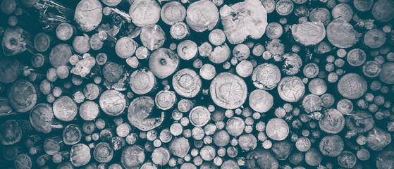 round teak wood stump background