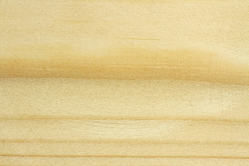 Light texture of wooden, texture background of natural wood surface