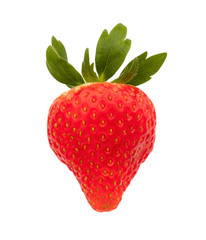 Strange freshnes red Strawberry organic fruit with clipping path isolated on white background.