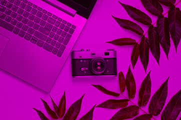 Laptop, retro camera in pink neon light with green leaves. The concept of unity with nature. Eco still life. Top view