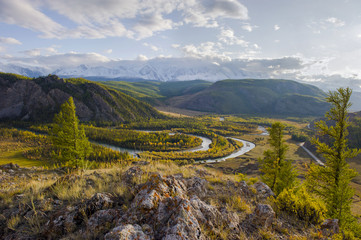 Fototapeta na wymiar Altai natural landscape of the kurai steppe and the Chuya river, mountain ice peaks of Siberia. Autumn forest, larch trees.