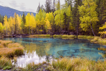 Fototapeta na wymiar blue geyser lake in Altay mountains. Landscape, pool.