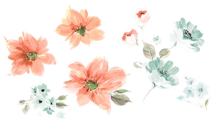 Flowers watercolor illustration.Manual composition.Big Set watercolor elements.