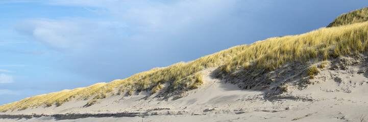 Dünenlandschaft an der Küste, Insel Sylt, Nordfriesland, Schleswig-Holstein, Deutschland, Europa