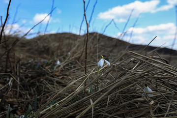 Bieszczady © marcinbawiec
