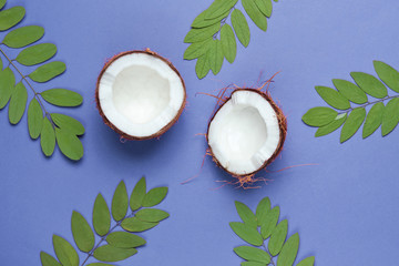 Two halves of chopped coconut on purple background with green leaves