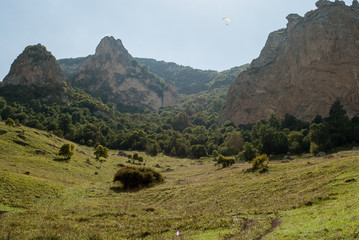 mountain view, forest, one paraglider circling in the sky, clear summer day, Chegem gorge