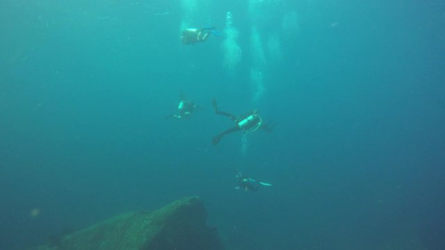 Scuba divers watching a manta ray 