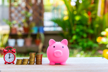 Pig piggy bank and coins and clock on nature blur background. saving money concept.