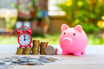 Pig piggy bank and coins and clock on nature blur background. saving money concept.