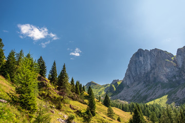 Fototapeta na wymiar Summer day trekking in the Carnic Alps, Friuli Venezia-Giulia, Italy