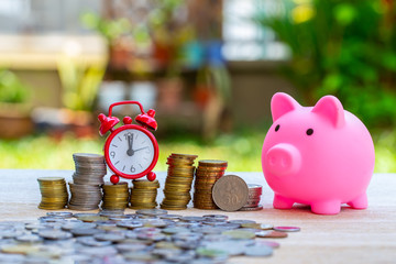Pig piggy bank and coins and clock on nature blur background. saving money concept.