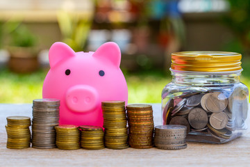 Pig piggy bank and coins and clock on nature blur background. saving money concept.