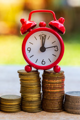 Pig piggy bank and coins and clock on nature blur background. saving money concept.