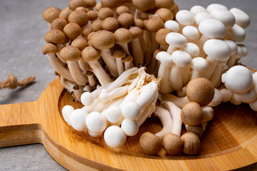 Fresh buna brown and bunapi white shimeji edible mushrooms from Asia, rich in umami tasting compounds such as guanylic and glutamic acid