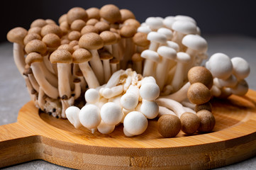 Fresh buna brown and bunapi white shimeji edible mushrooms from Asia, rich in umami tasting compounds such as guanylic and glutamic acid