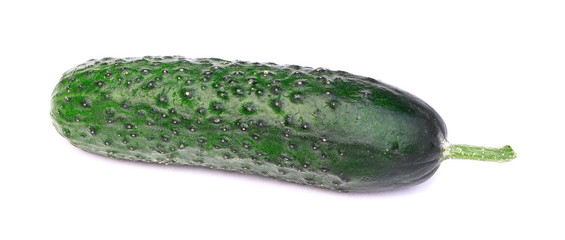 Organic, raw vegetables isolated. Cucumber isolated on a white background