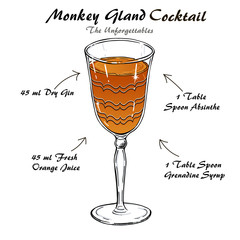 Monkey Gland cocktail alcoholic recipe vector sketch