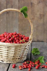 Gardening and agriculture. Strawberry harvest in a basket with green leaves on an old wooden background. Rustic. Background image, copy space