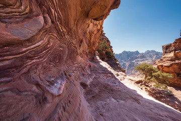 natural red desert sandstone stone texture on a hiking trail in the ancient city of Petra in jordan