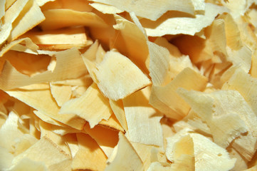 Structure and texture, birch