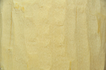 Structure and texture, birch