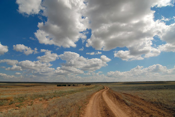 Fototapeta premium dirt road leading into the distance, clouds