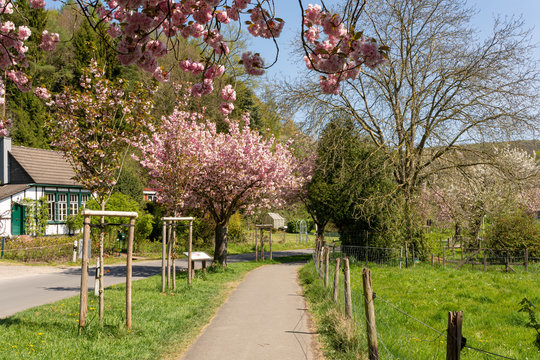 Obstweg in Rueden, Solingen, Germany
