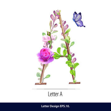 Vector of Floral Watercolor Alphabet. Letter A  Made of Flowers. Typographic, Monogram.