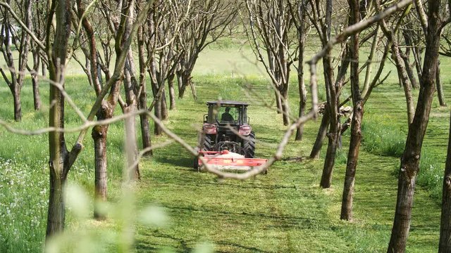 Tracteur fauche le foin